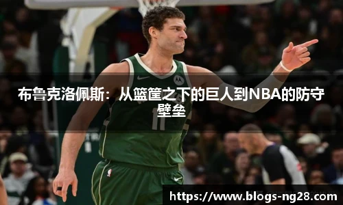 布鲁克洛佩斯：从篮筐之下的巨人到NBA的防守壁垒